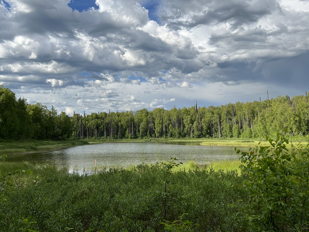 165. Hiking in the Talkeetna Lakes Park, Talkeetna, Alaska… Flickr
