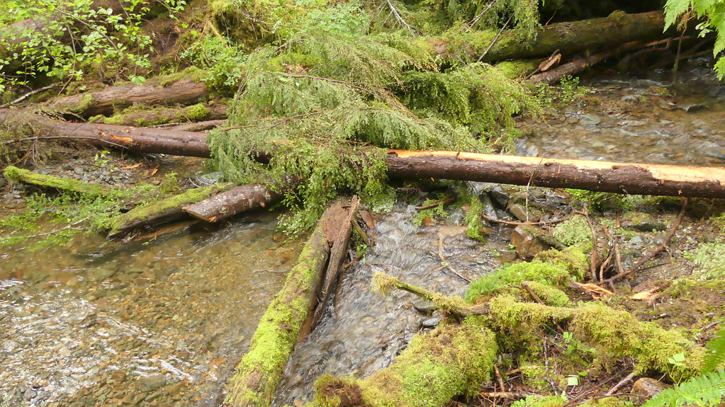 7 mile creek 2022 Khrystl Brouillette Flickr