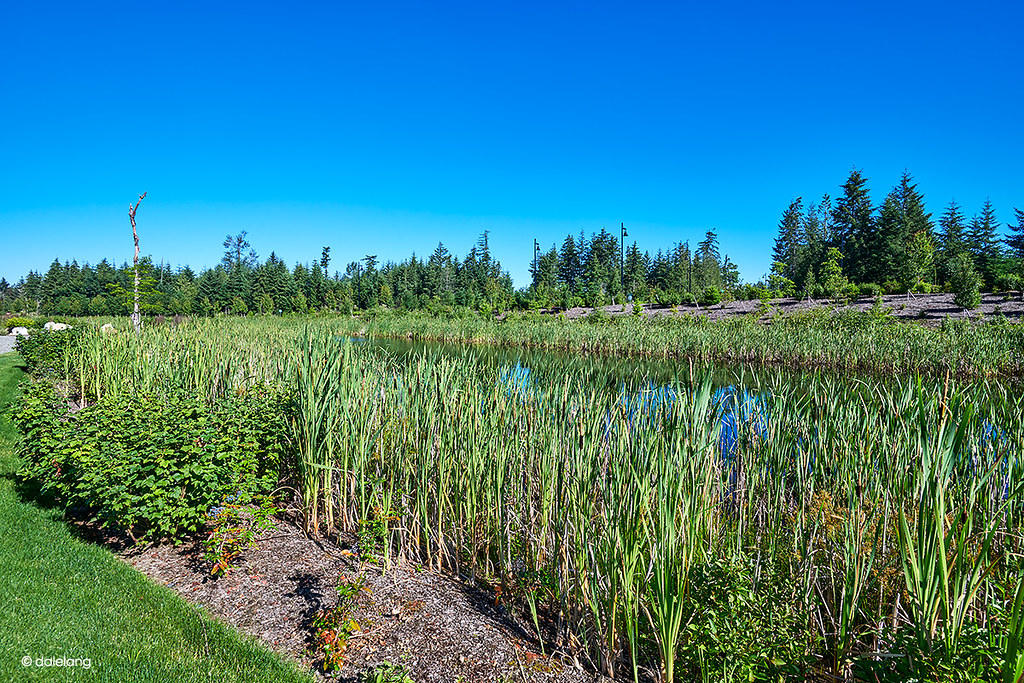 MacKaySposito Parks R4A Dale Lang Flickr