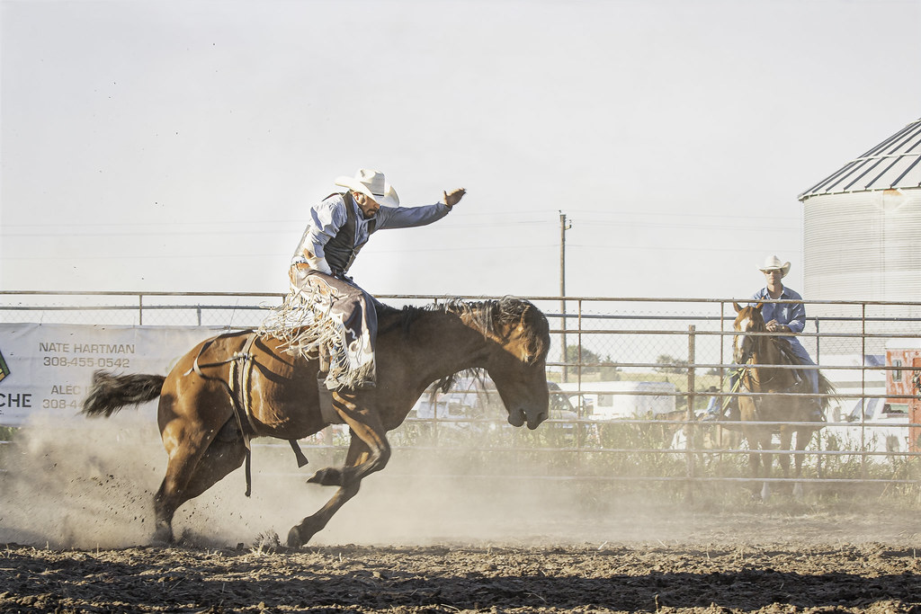 Nebraska Rodeo rodeo horse Tamara Rimpley Flickr