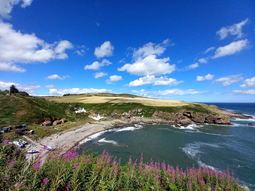 NEWTONHILL HARBOUR, ABERDEENSHIRE 2/8/22 Matt Towe Flickr