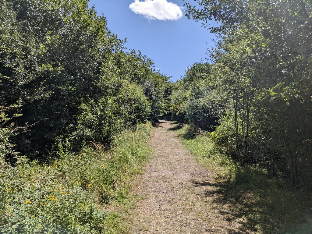 Path within Forest of Marston Vale, Marston Moretaine (2) Flickr