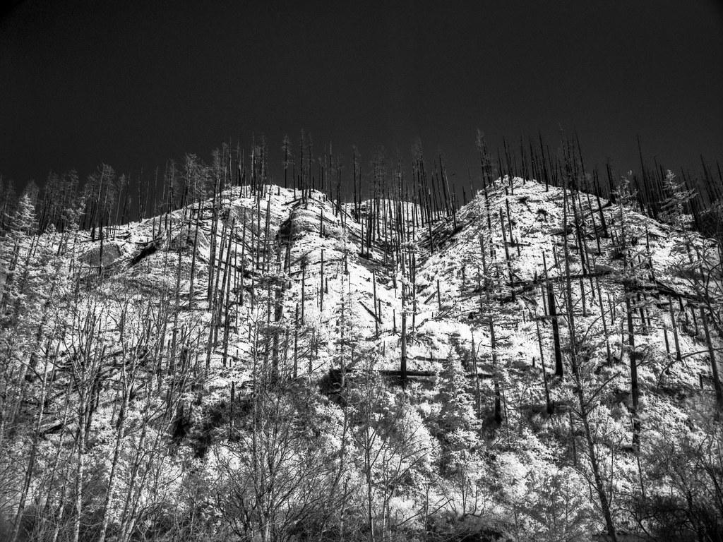 Burnt hills Bronica ETRSi ZenzanonPE 75mm f/2.8 Rollei In… Flickr