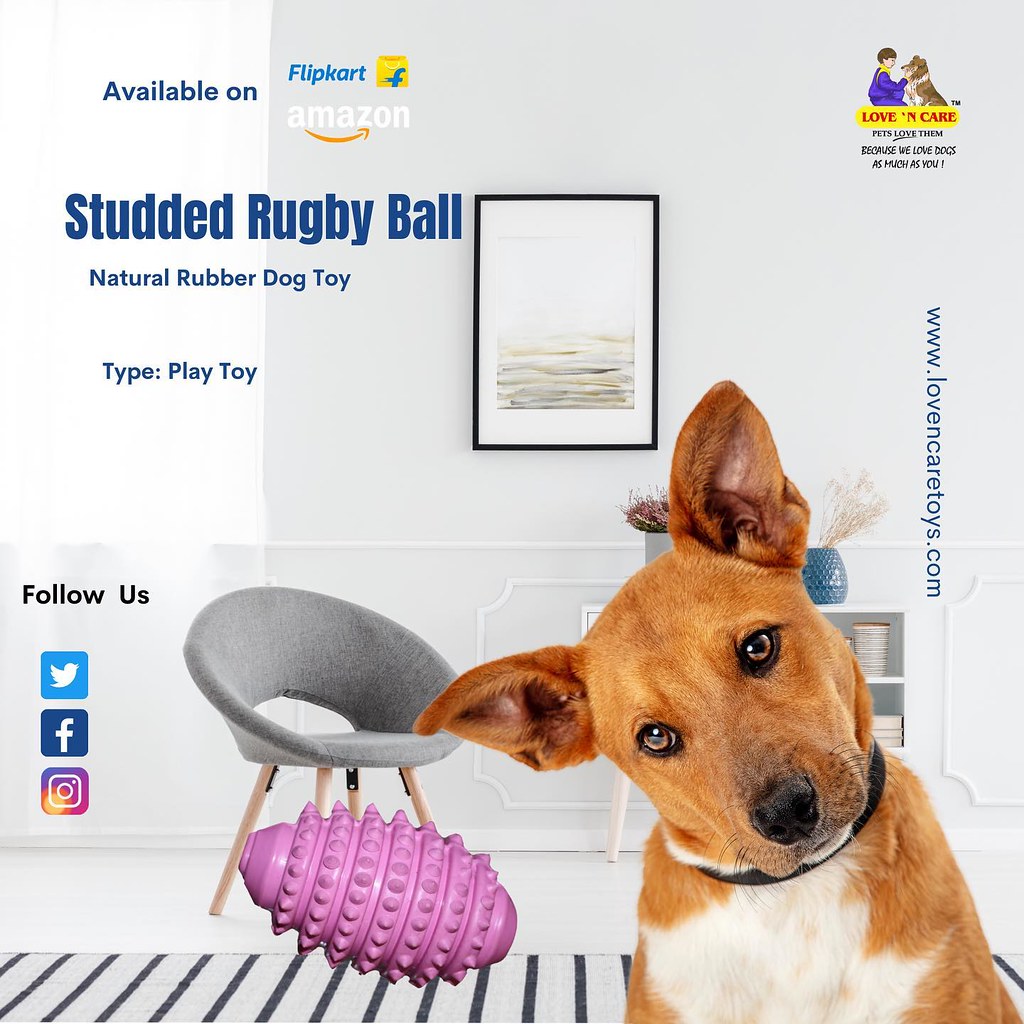 Studded Rugby Ball New Dog toy from lovencare toys Flickr
