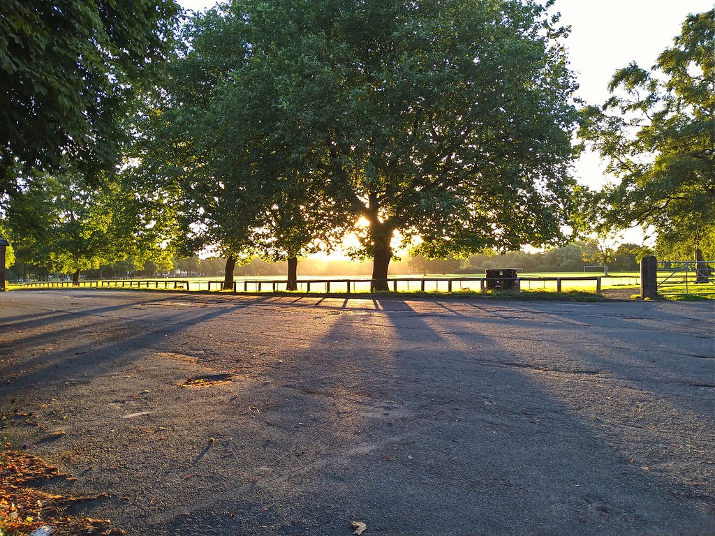 20220803_061900 Early morning sun at Flixton Park