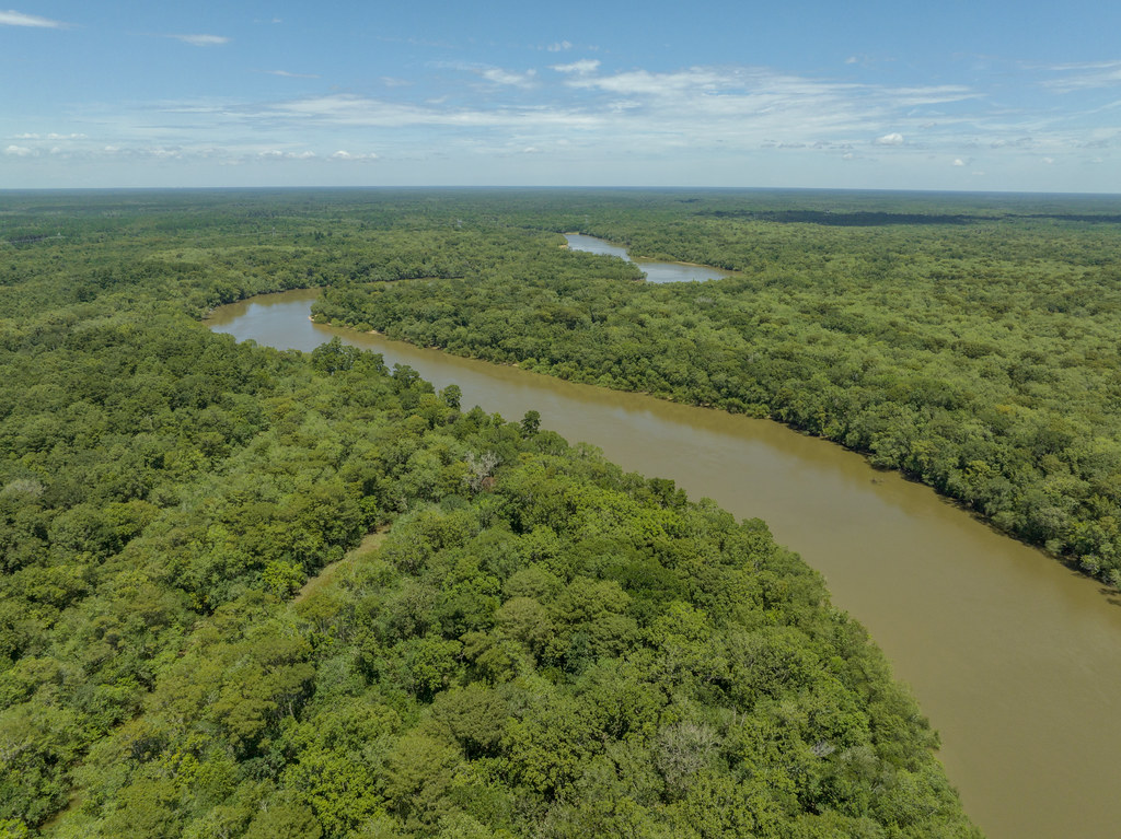 Altamaha River, River Swamp, Sansavilla and Altamaha Wildl… Flickr