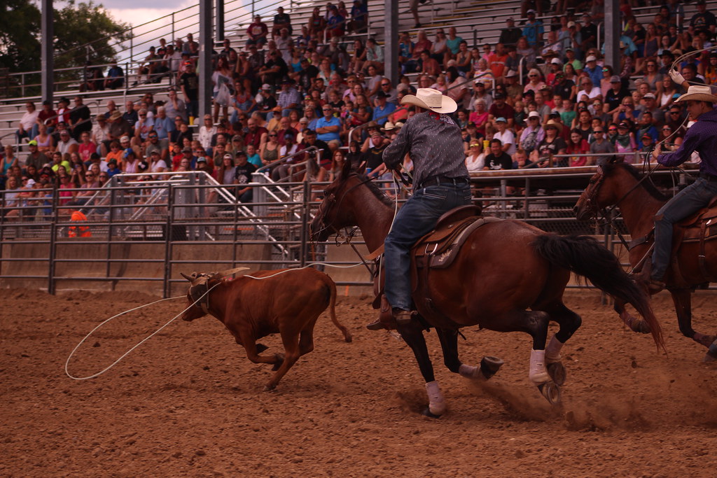 2022 Rodeo Camera Corps Flickr