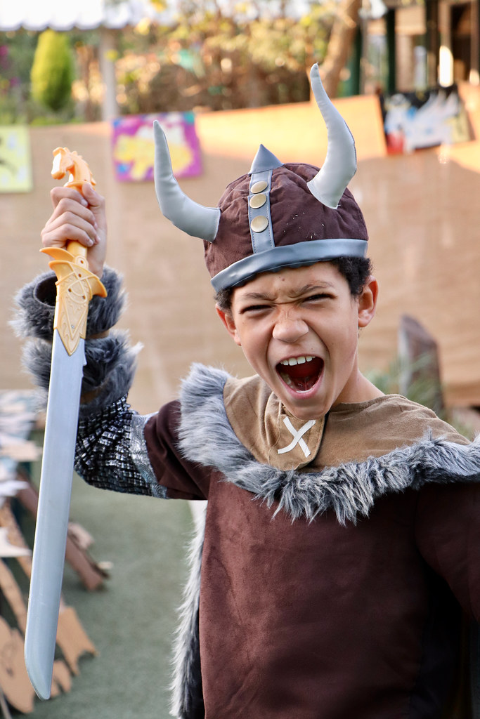 Std 5 Viking Day Flickr