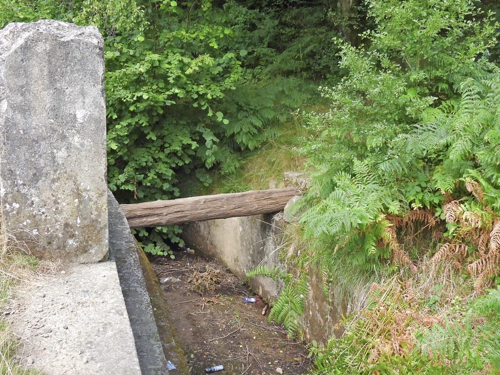 Impromptu Bridge, Blaen Bran Reservoir, Upper Cwmbran 6 Au… Flickr