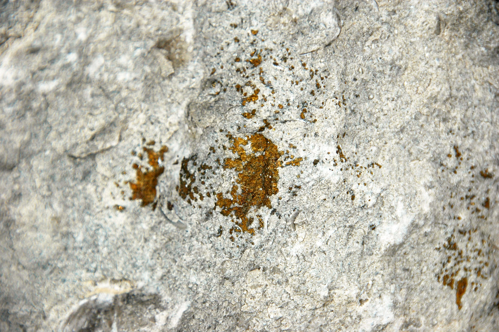 Limestone with pyrite (Upper Pennsylvanian; Weeping Water, Nebraska