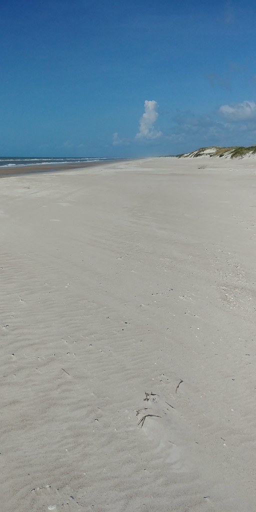 Bear Island, Hammocks Beach State Park, Onslow County, NC.… Flickr
