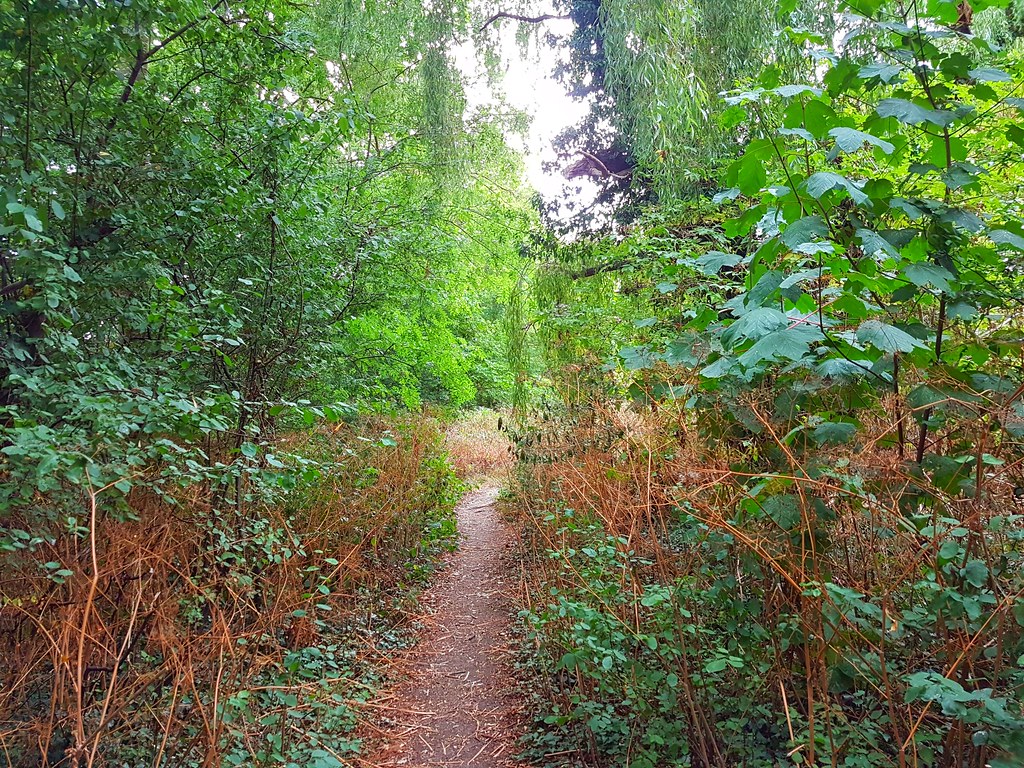 Belfairs Woods Essex Dennistoun Price Flickr