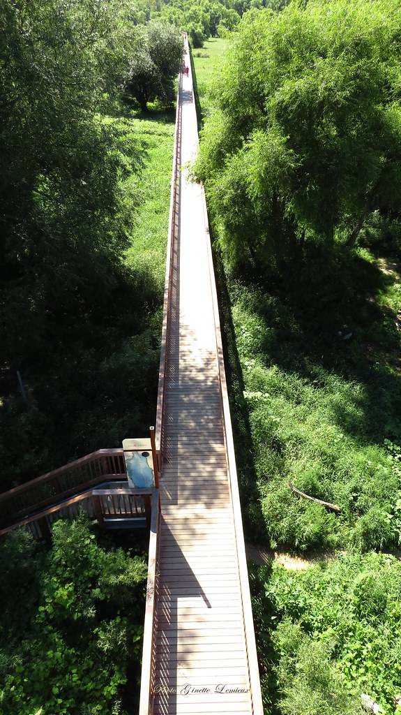 Passerelle du Parc de Nicolet, Qc. Voici une p… Flickr