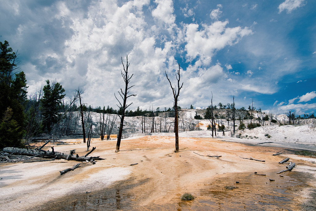 Angel Terrace Yellowstone Adam H Flickr