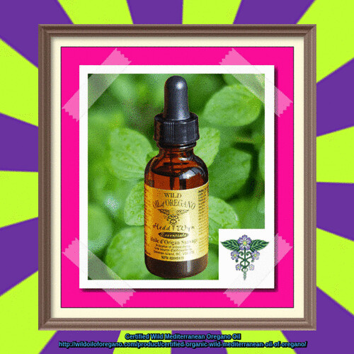Wild Mediterranean Oregano Oil The Wild Mediterranean Oreg… Flickr