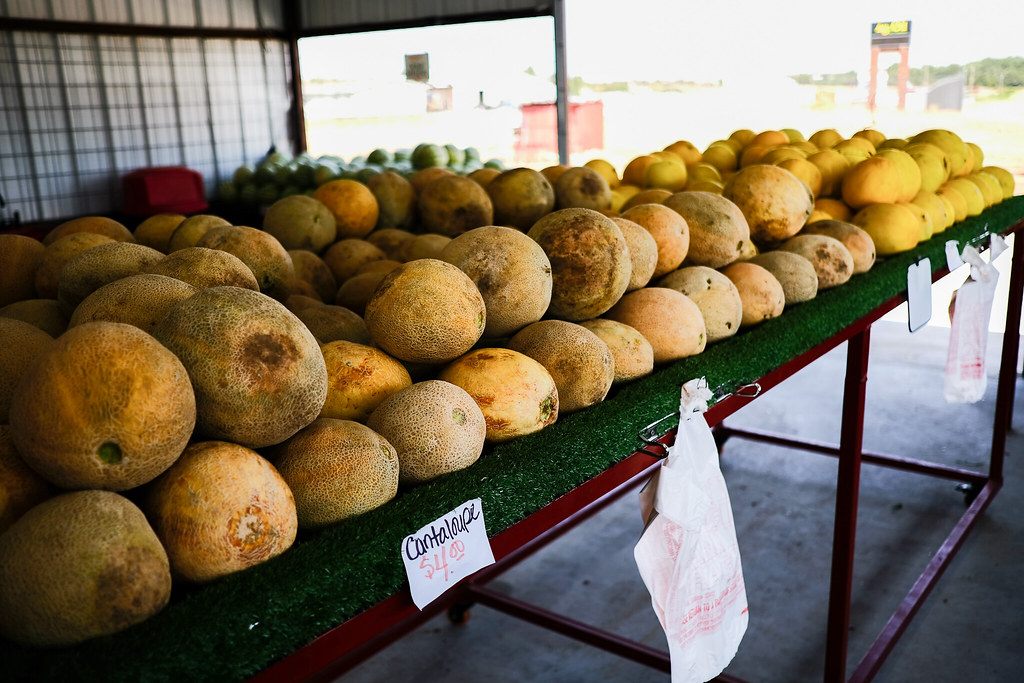 Watermelon Hunting Rush Springs, OK sooc Derek Halley Flickr
