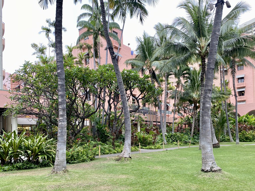 Garden Courtyard, Royal Hawaiian Hotel, Kalakaua Avenue, W… Flickr