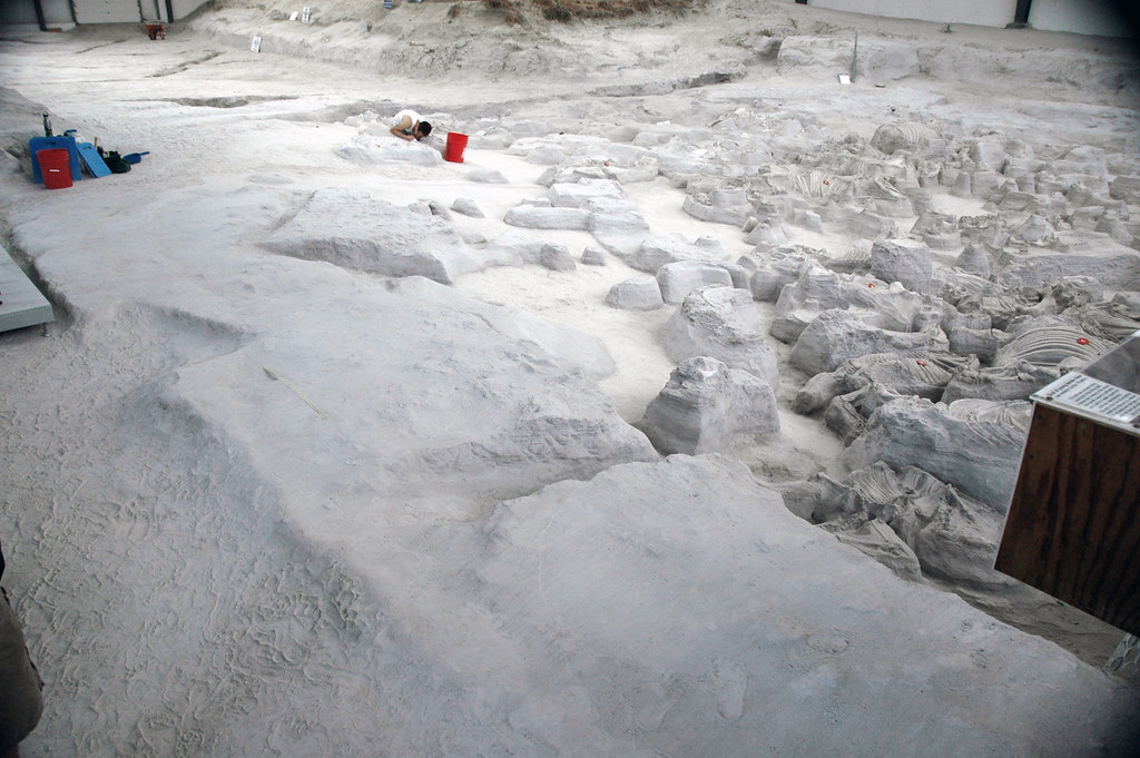 Fossiliferous volcanic tuff (Ash Hollow Formation, Miocene, 11.83 Ma