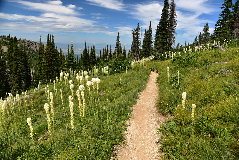 Jewel Basin Just Peachy