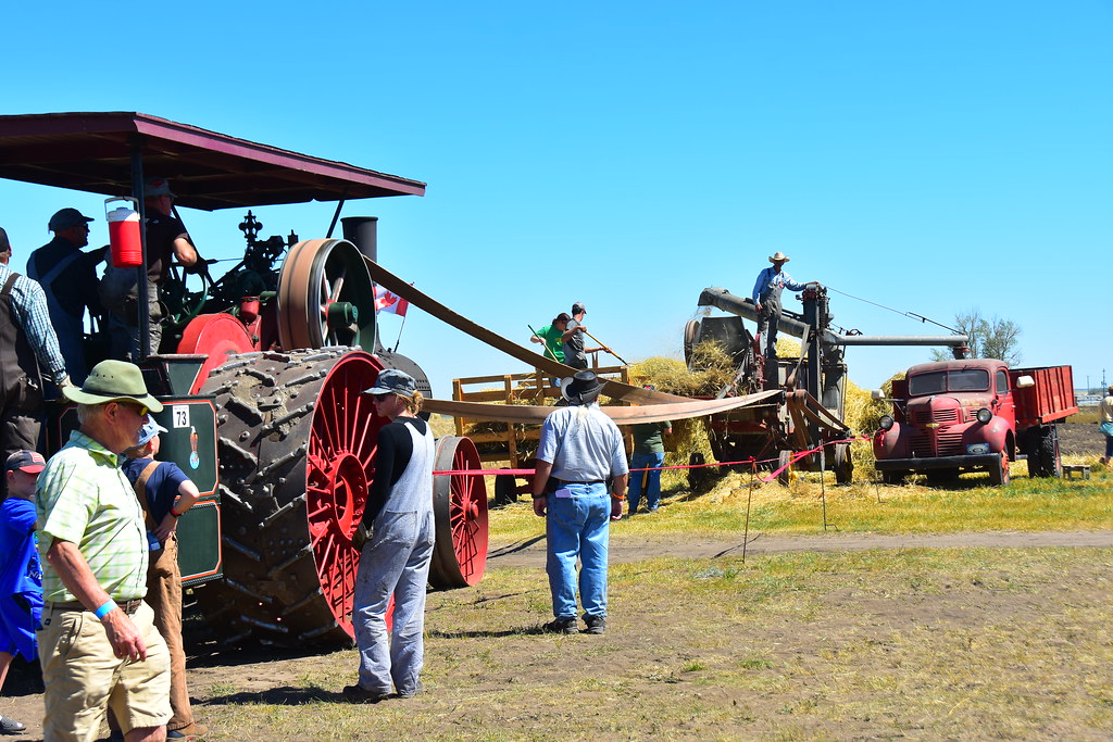 Threshing demonstration Pioneer Acres Irricana annual show… Flickr