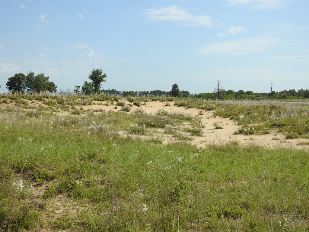 Sand Prairie Conservation area 8822 Kathy Bildner Flickr