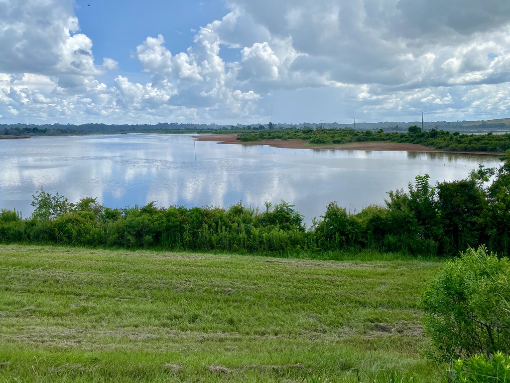 W. Irene Rd. impoundments Habitat shot for eBird list Flickr