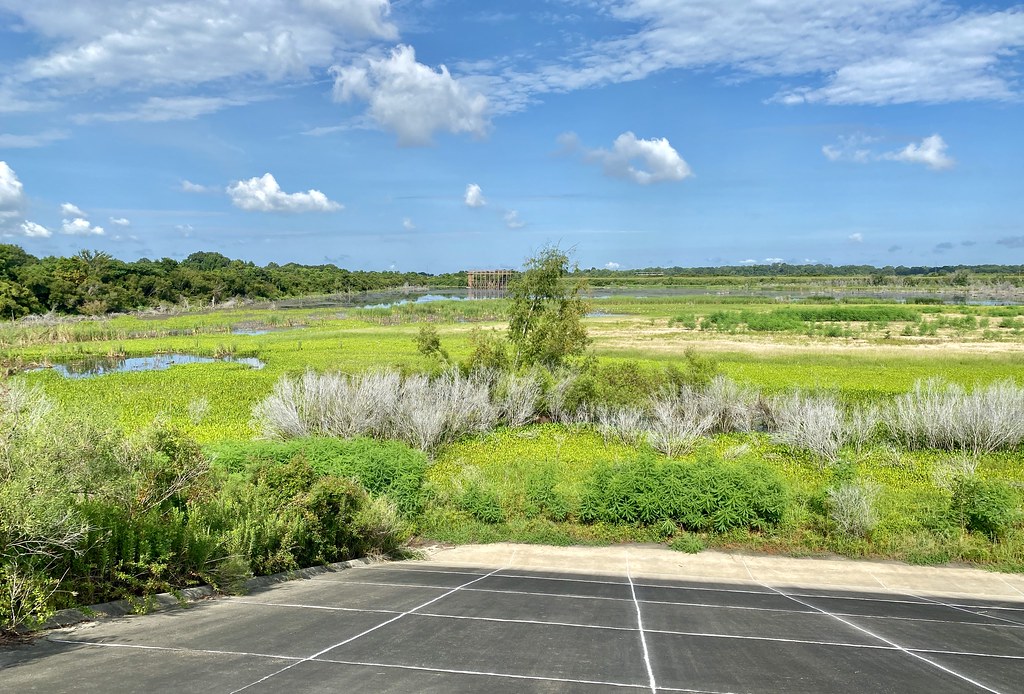 W. Irene Rd. impoundments Habitat shot for eBird list Flickr