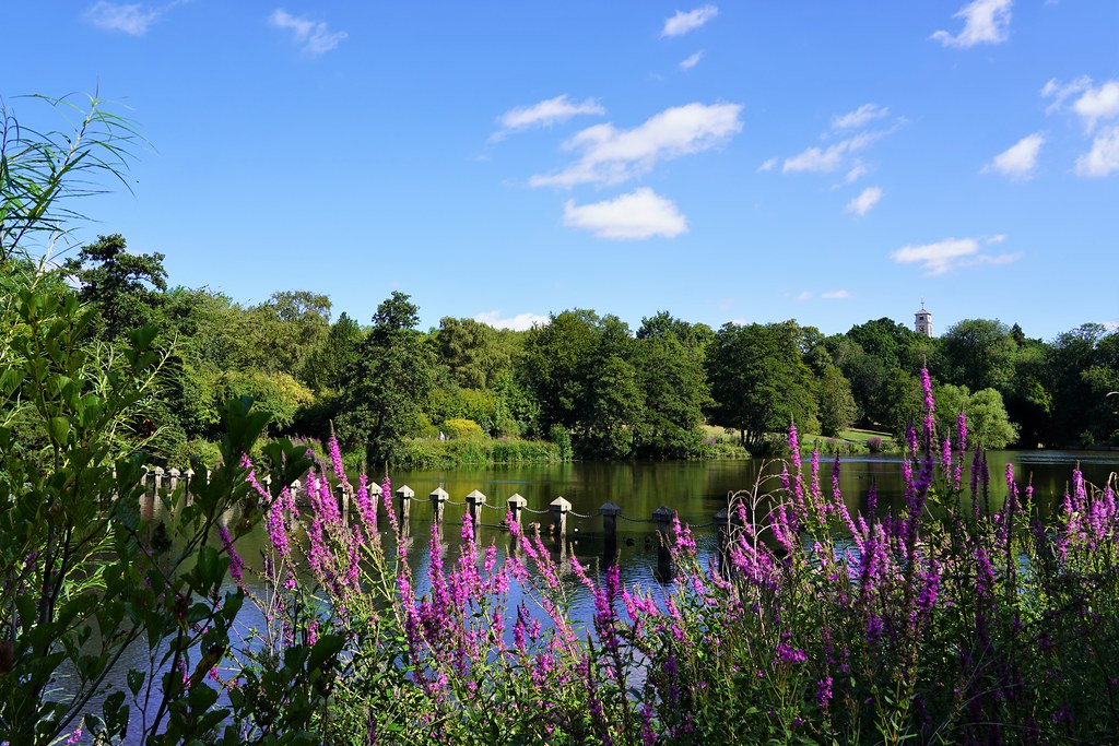 Highfields alan metheringham Flickr