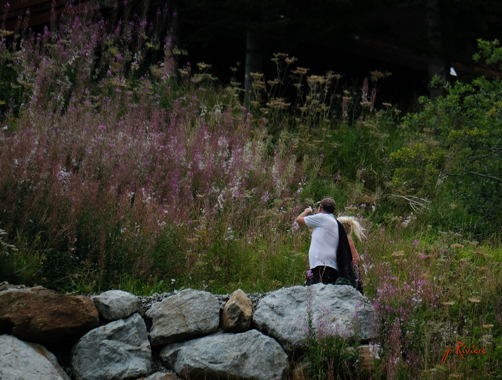 XPro2 jean pierre riviere Flickr