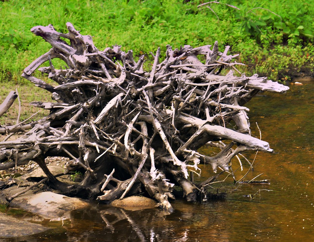 20220811WashedUp0002 Cornish, Maine. Washed up series, l… Flickr