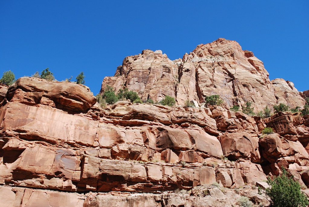 Copy of DSC_0130 Zions Park eperry515 Flickr