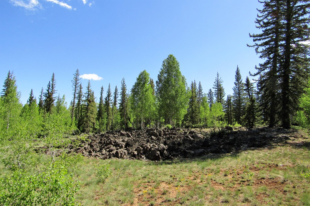 On the trail 2435 On national forest land in the mountains… Flickr