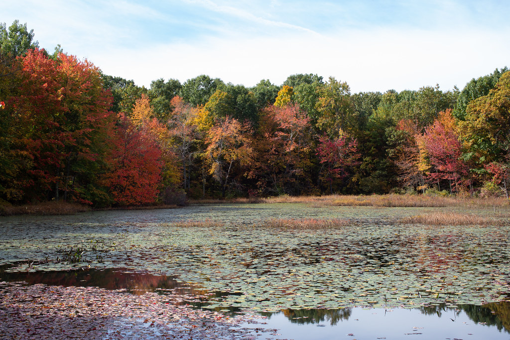 Robinson Pond Dubois Flickr
