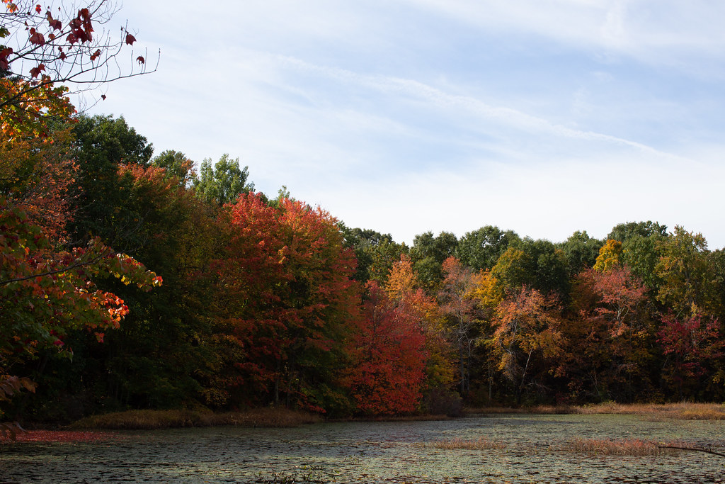 Robinson Pond Dubois Flickr