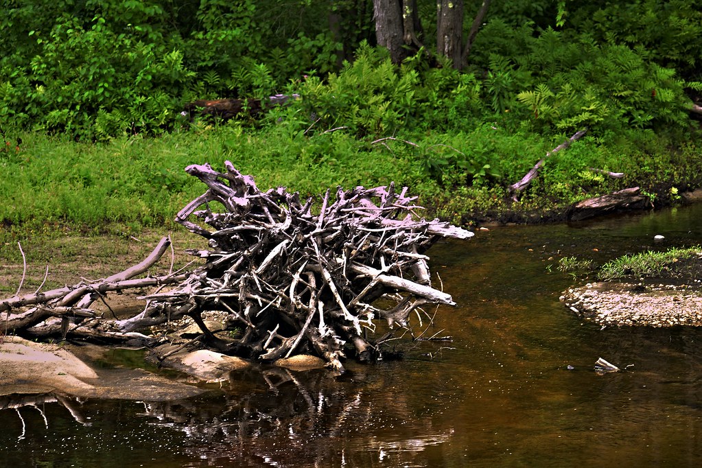 20220811WashedUp0001 Cornish, Maine. Washed up series, l… Flickr