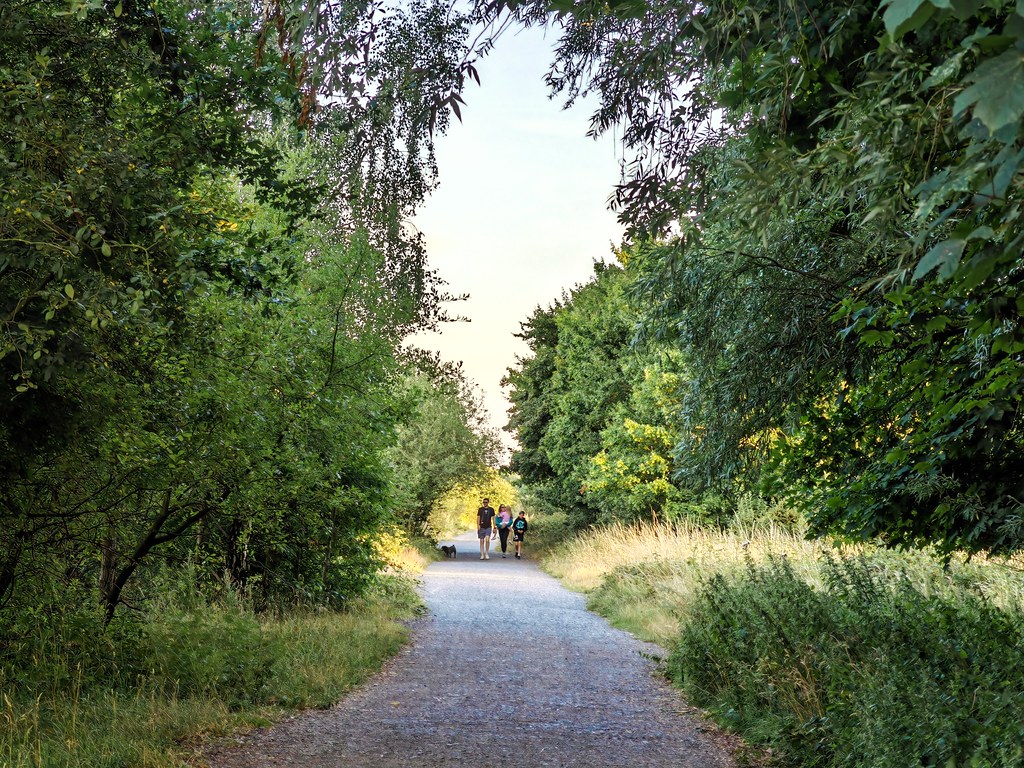Sunset walk Sunset walk cattan2011 Flickr