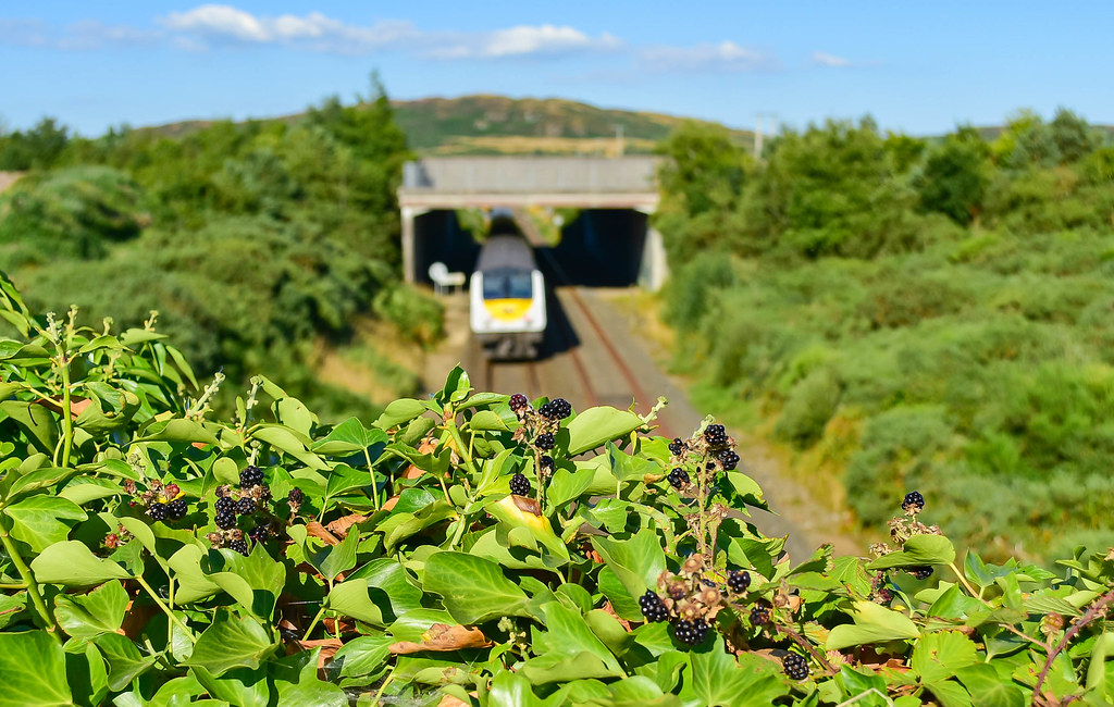 Lower Newtown Road, 1650 DublinBelfast 11082022. Flickr