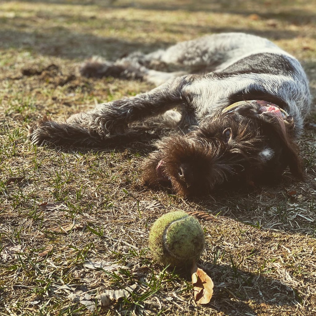 Ember Mountain_Air Flickr