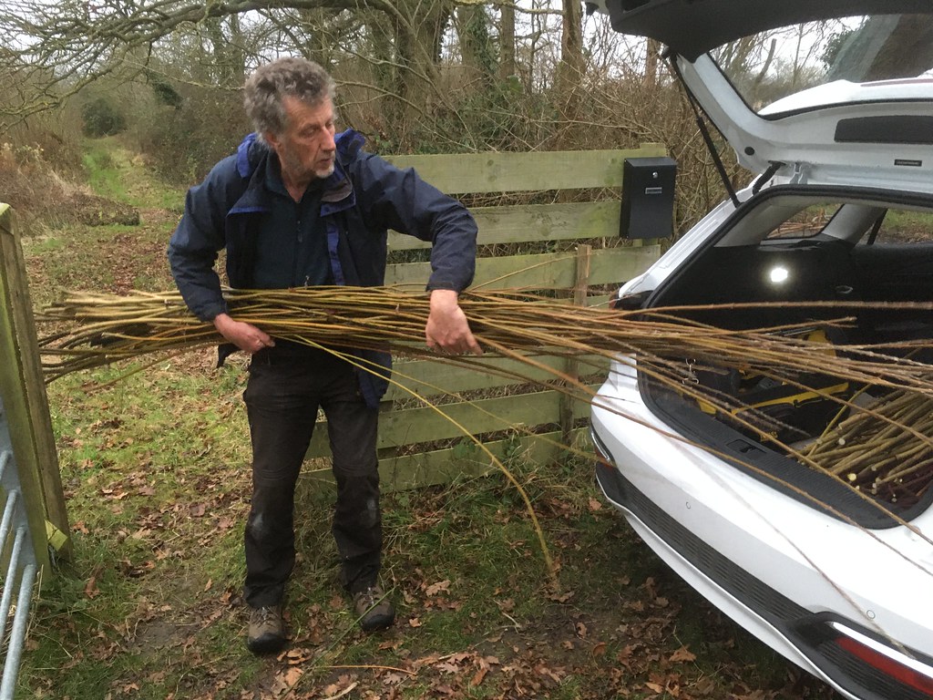 Taking some of our willow harvest home for me to weave wit… Flickr