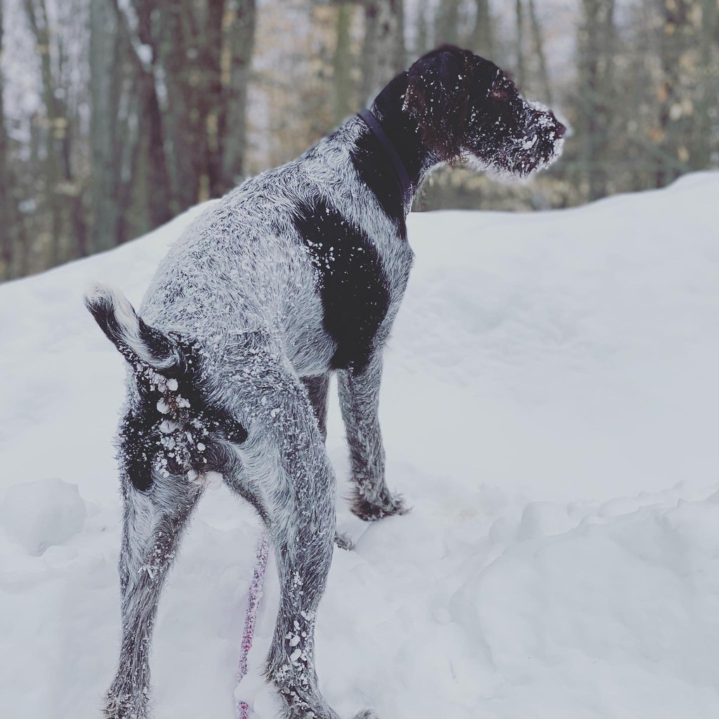 Ember Mountain_Air Flickr