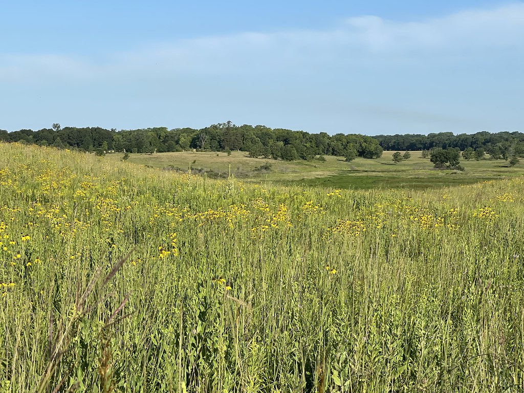 Crow Wing River park Minnesota 2022 Aug Crow Wing River pa… Flickr