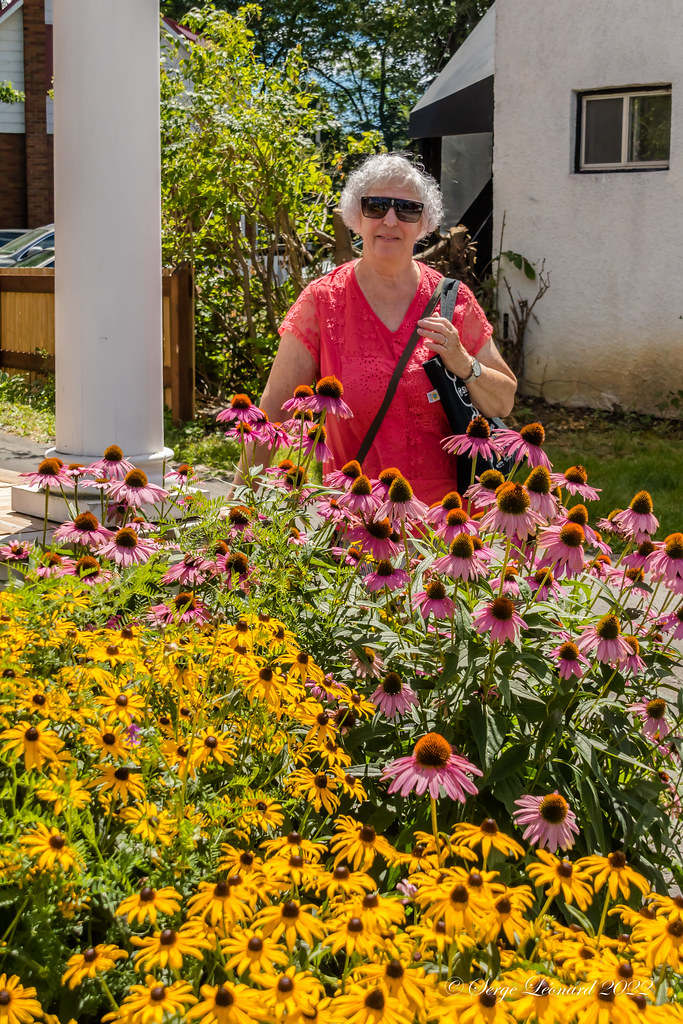 220813 Marché SainteRose Laval 6661 Boul SainteRose … Flickr