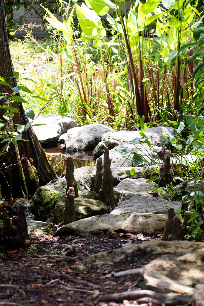 Pan's Garden WPB '22 Michele Flickr