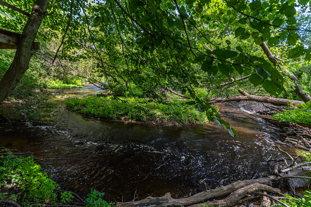 Waakikizu NRA90.jpg Six Mile Creek in the Waakikižu Natur… Flickr