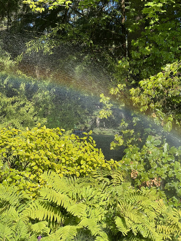 Botanischer Garten Berlin A F Flickr