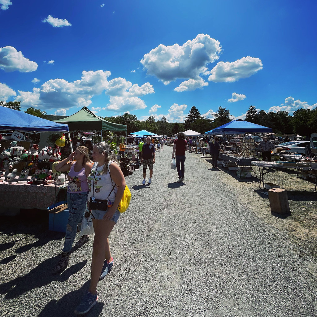 Blue Ridge Flea Market Saylorsburg, PA www.artskooldamag… Flickr