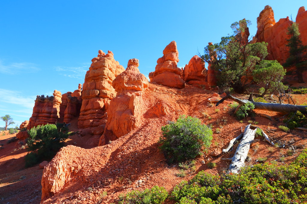 IMG_9804 Hoodoos, Red Canyon Golden Wall Trail, Dixie Nati… Flickr