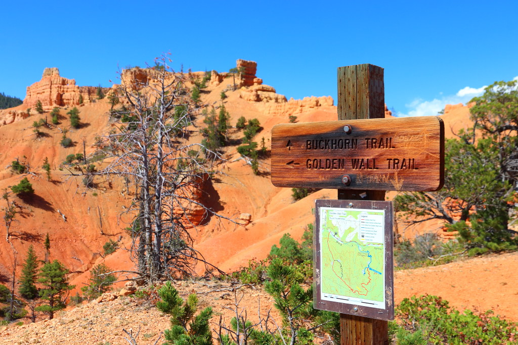 IMG_9900 Golden Wall Trail, Dixie National Forest ITing Chiang Flickr