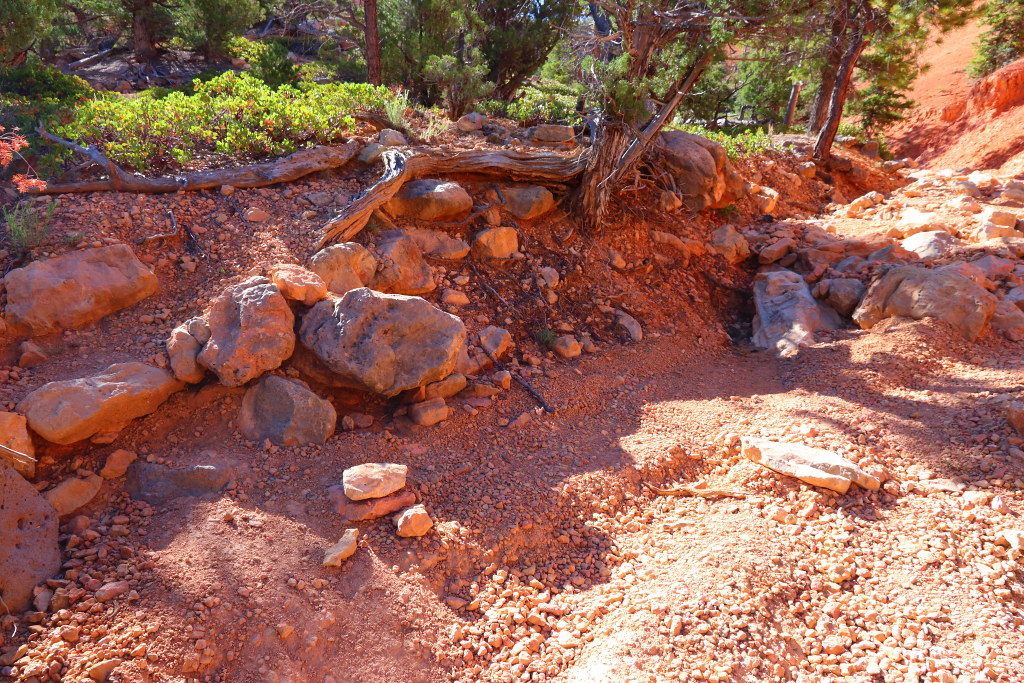 IMG_9819 Golden Wall Trail Dixie National Forest Flickr