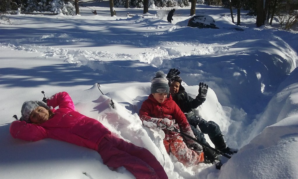 20160124_123333 Kathryn Wiley Flickr